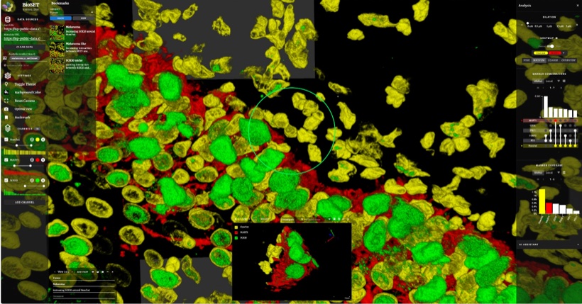 BioSET thumbnail